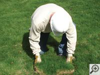 Restoring the landscaping by replacing removed sod on the ground for a Glenwood Springs home.